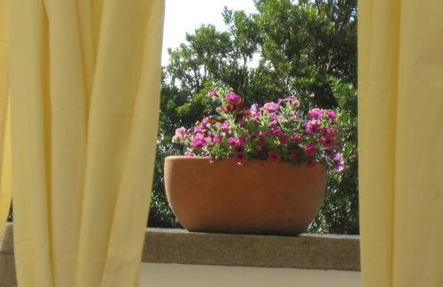 Quinta do Rossio, Rural Tourism - Photo 41