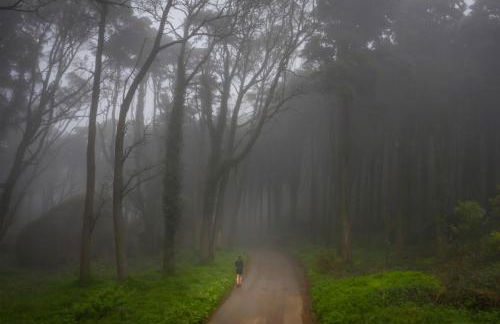 Sintra Dream Garden Villa - Foto 95