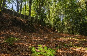 Casa Castel'Rei - Photo 34