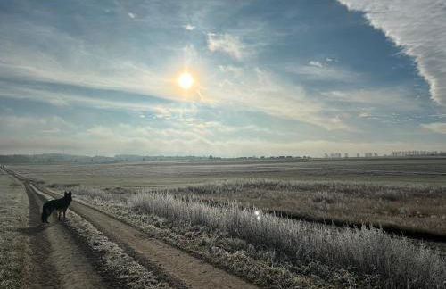 Schorsch's Ferienhaus - Foto 34