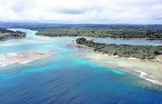 Troppo Mystique - Photo 60