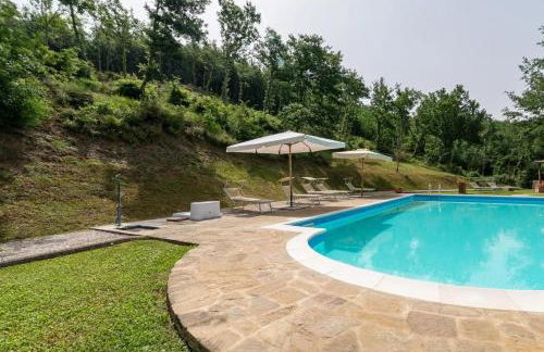 Pugnano Alto -appartamento Castagna - Foto 11