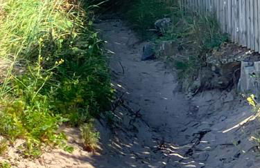 Wee Beach Hut Maidens - Foto 9