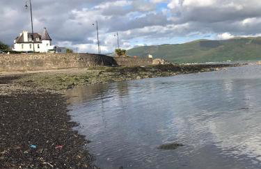 Seaview Aurora House - Central Luxury Apartment - Photo 35