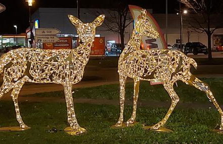 Ferienhaus Lachmöwe - Foto 21