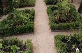 Freilandhof - Foto 24