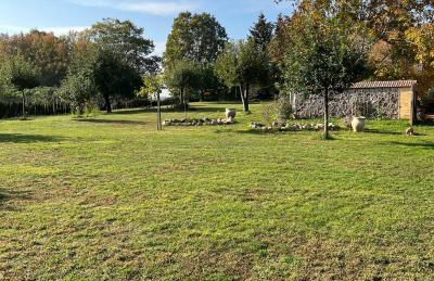 Ferienhof Schmetterlingsgarten - Foto 25