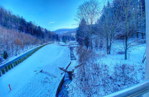 Kurort Kozubnik Apartament 33 Wellness &SPA - Foto 14