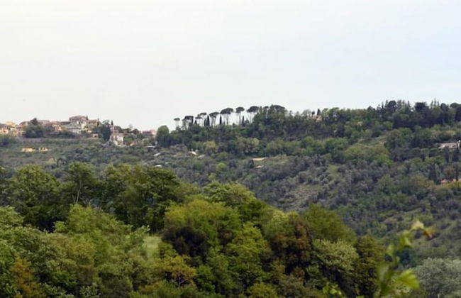 Casale Di Colle - Photo 26