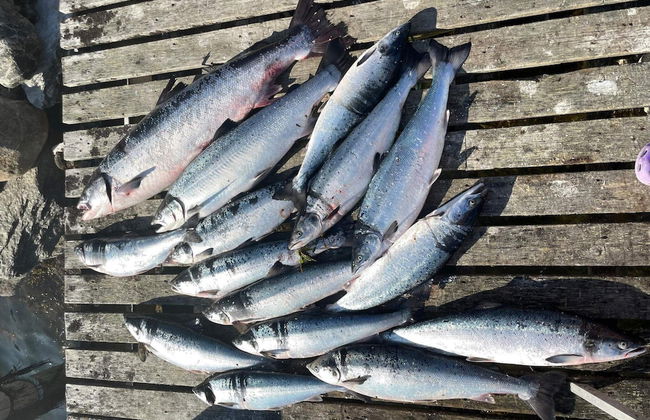 9 Person Holiday Home in Korsfjorden - Foto 23