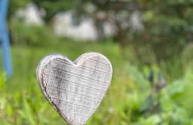 FERIENWOHNUNG ALL YOU NIED mit NIEDBLICK und TERRASSE - Foto 1