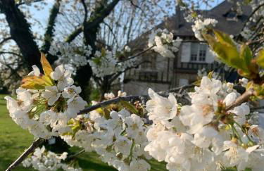 Grande maison normande de 250 m2 1ha - aperçu mer - Photo 48