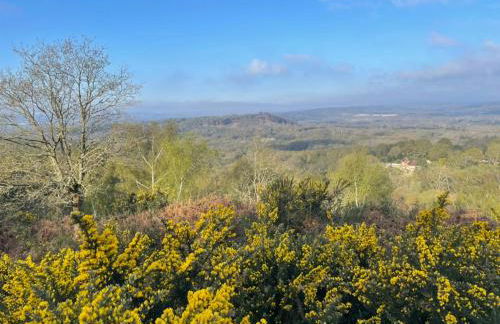 Crispins Corner - Foto 33