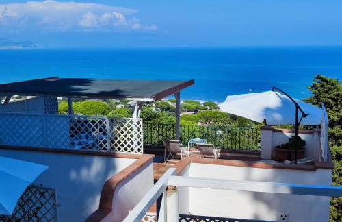 Pino Marino - Foto 32