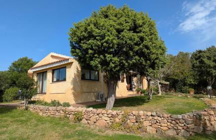 Villetta La Casa Vecchia Baja Sardinia - Foto 20