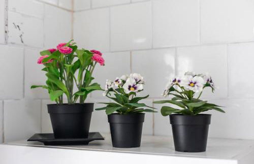 Mestalla River Apartment - Foto 49