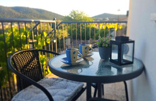 Apartment Viniška - Foto 33