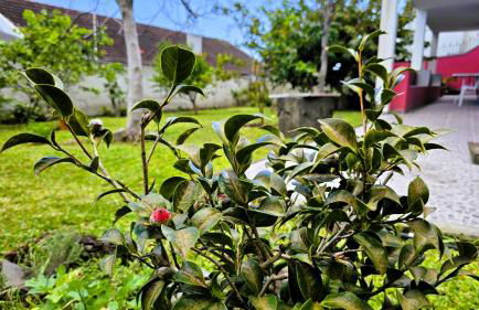 Casa do Seixal - Foto 19