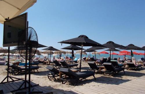 Green House!!! - Foto 57