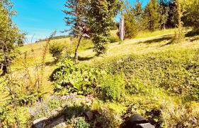 Flügels ReBi-Baude - Foto 60