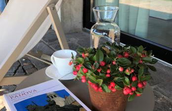 Agriturismo Corte d'acqua - Foto 55