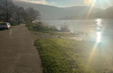 Moselblick im Denkmal - Foto 14