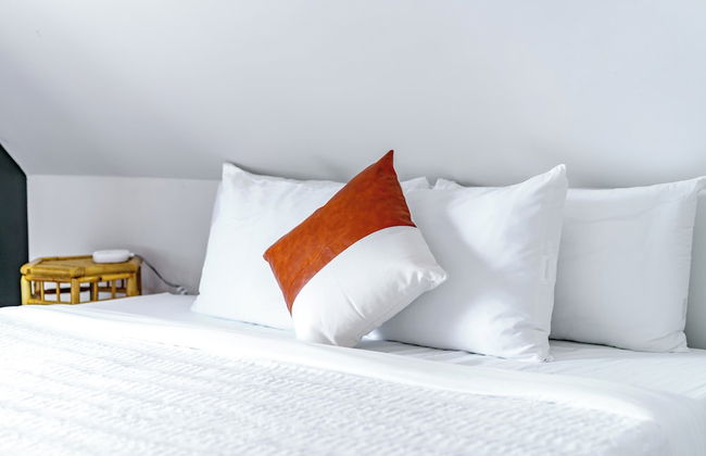 The Urbn Jungle - Photo 3