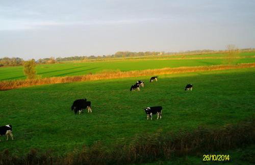 Gästehaus Hemmerdeich-alte Schule - Foto 24