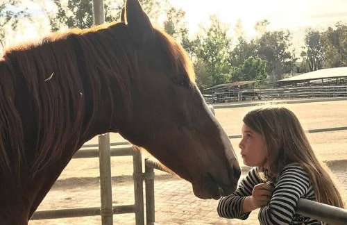 New! Historic 1906 cabin in Colorado Natl Forest - Foto 16