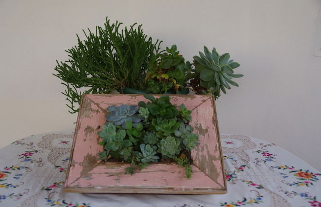 Aalkies Dream Luxurious Selfcatering - Foto 32