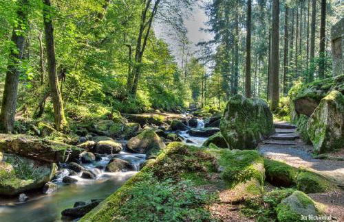 Cozy I Blockhütte im Nationalpark I Ferienwohnung - Foto 34
