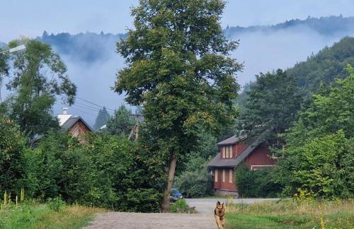 Nad Mikowym Potokiem - wydzielona część drewnianego domu z osobnym wejściem i ogrodem - Foto 14