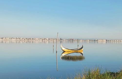 RiaEncontros- Villa T4 junto Ria e Pinhal - Foto 61