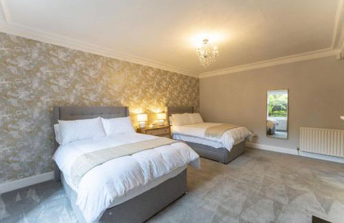 The Lindsay House - Photo 8