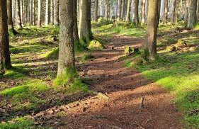 Rustikale Wanderhütte am Angelteich - Foto 22