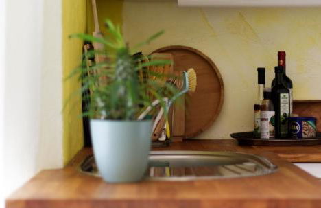 Souterrainwohnung mit großem Garten und Sauna - Photo 10