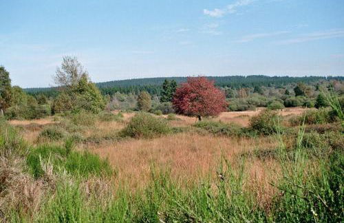 Weiher Lounge - Foto 21