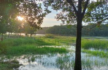 Nosso Cantinho Delfinópolis Serra da Canastra - Photo 28
