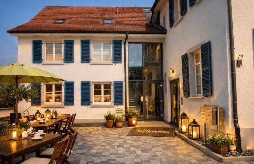 Exklusive LOFT-Wohnung, nur 30 Min von Zürich - Foto 10