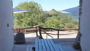 Apartamentos El Naranjo - Foto 5