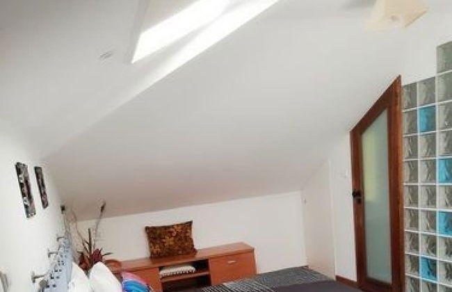 AL Ferros em Viana do Castelo - Foto 11