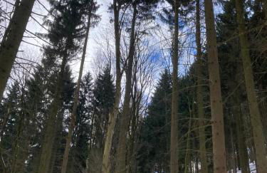 Ferienwohnung "Auszeit" - Photo 55