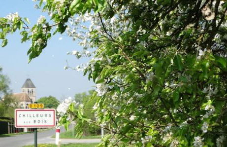 Cocon à la campagne - Foto 31