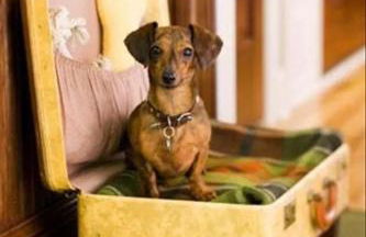 Cala puntal - Foto 62