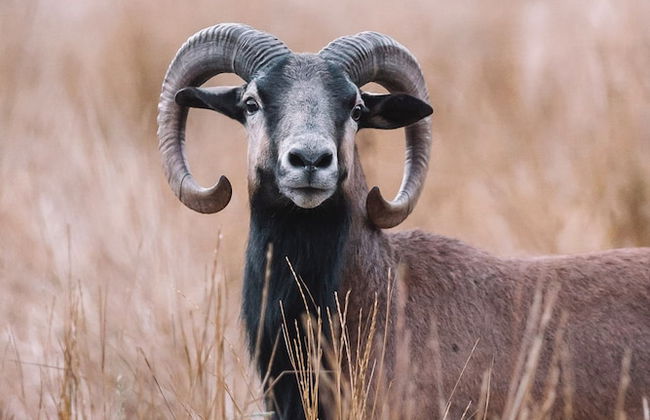 Zegarra Estate - Foto 60