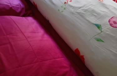 Casa in villaggio minerario vicino Massa Marittima - Foto 12