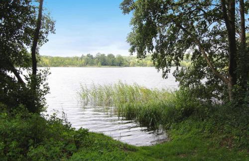 Ferienhaus in der Feldberger Seenlandschaft - Foto 26