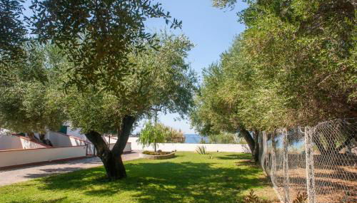 Casa Palinuro Vacanze fronte spiaggia - Photo 3, Garden