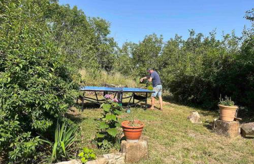 La rive du Viaur - Foto 20