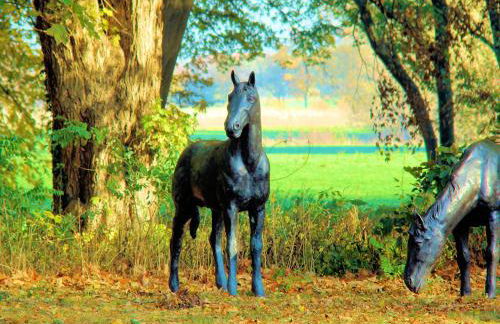 Ostsee-Gutshaus Am Salzhaff Pepelow nähe Rerik- am Meer residieren! - Foto 74